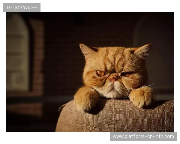 UFC震撼瞬间:一记肘击让顶级拳手瞬间懵圈,背后隐藏的战术秘密 UFC震撼瞬间:一记肘击让顶级拳手瞬间懵圈,背后隐藏的战术秘密